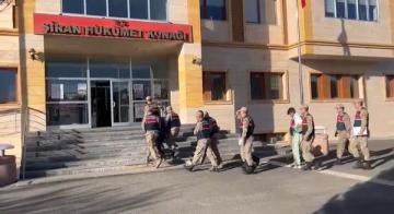 Gümüşhane’de Sarmal Operasyonu