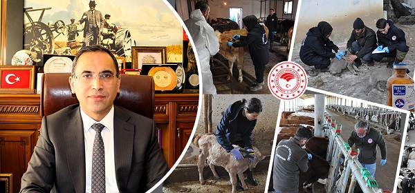 Gümüşhane’de 239 bin 677 hayvan aşılandı