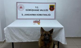 Gümüşhane’de jandarmadan uyuşturucu operasyonu: 2 tutuklama