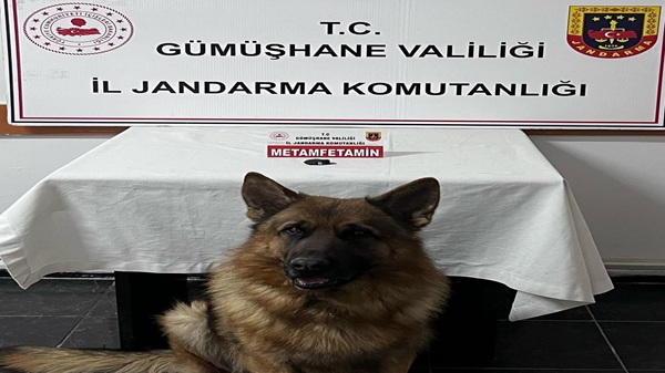 Giresun’dan Gümüşhane’ye uyuşturucu getirirken yakalandılar
