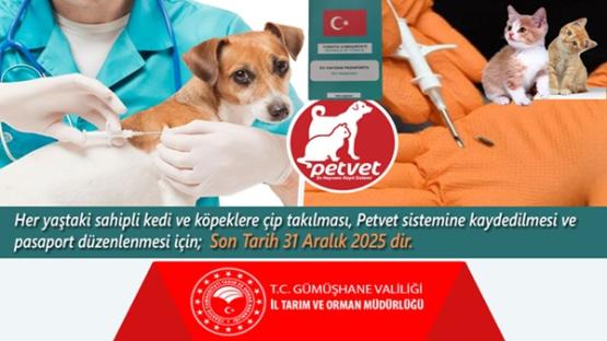 Kedi ve Köpekler İçin Dijital Kimliklendirme Zorunluluğu