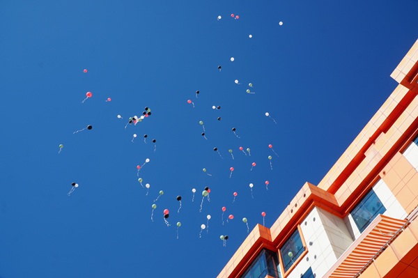 Gümüşhane Üniversitesi öğrencileri, Gazze için balonları gökyüzüne bıraktı